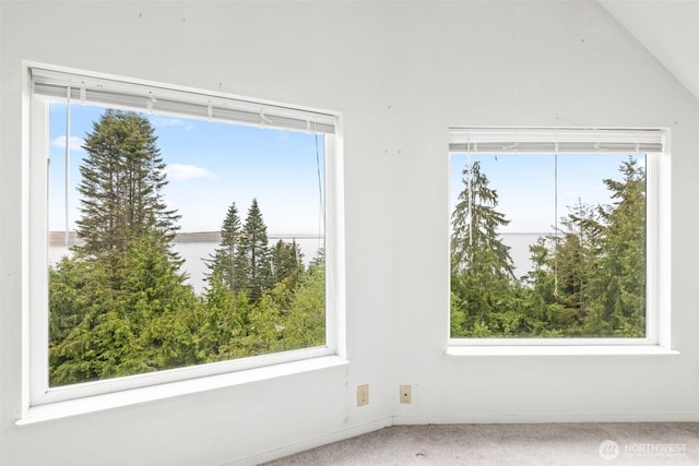 300 N St, Sequim, WA 98382 - empty room featuring carpet floors, baseboards, and healthy amount of natural light