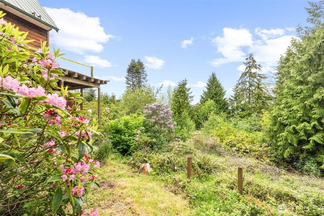 300 N St, Sequim, WA 98382 - view of yard