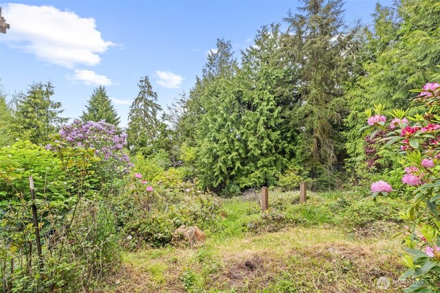 300 N St, Sequim, WA 98382 - view of nature