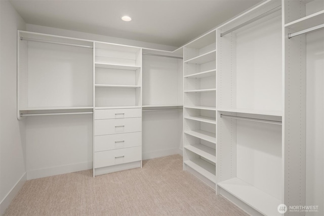 10304 NE 113th Pl, Kirkland, WA 98033 - walk in closet featuring light colored carpet
