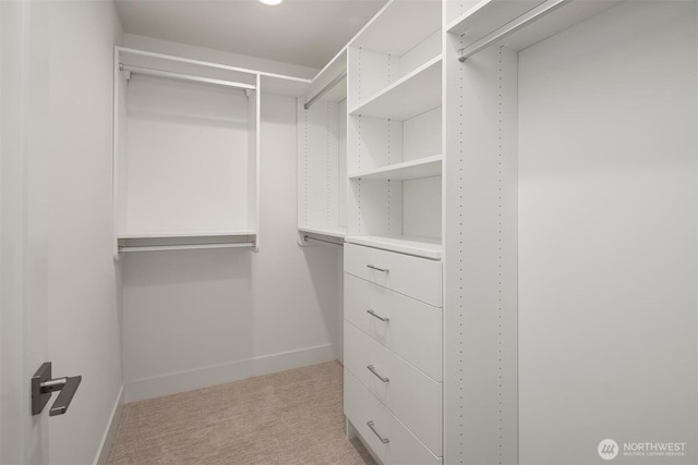 10304 NE 113th Pl, Kirkland, WA 98033 - spacious closet with light carpet