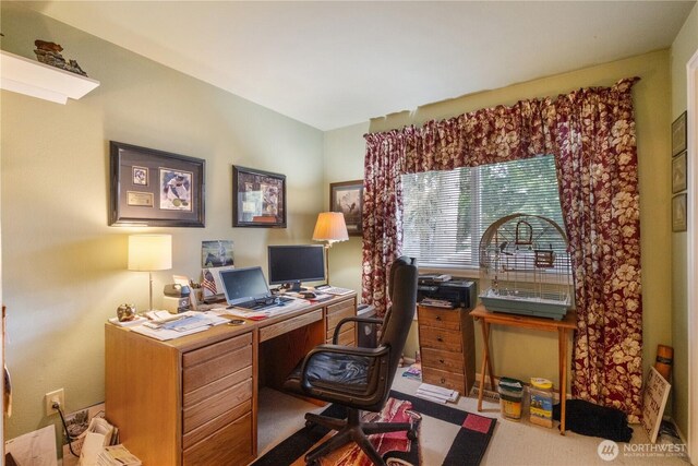 14904 108th Pl NE, Bothell, WA 98011 - home office with carpet flooring