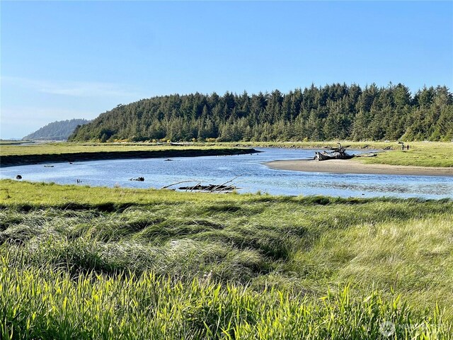 712 Copalis Beach Rd, Copalis Beach, WA 98535 - photo 3