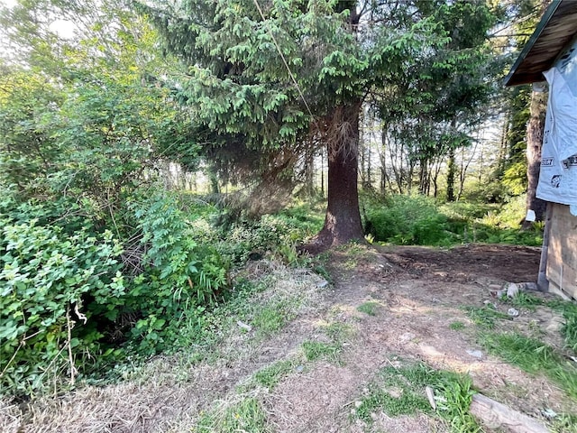 712 Copalis Beach Rd, Copalis Beach, WA 98535 - photo 27