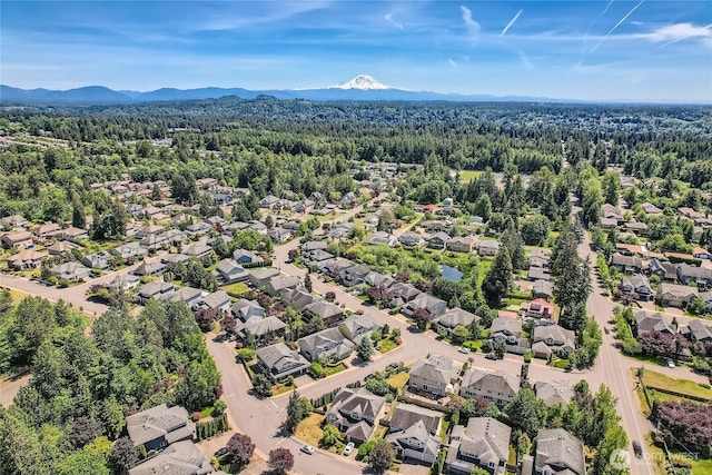 270 Kitsap Ave NE, Renton, WA 98059 - aerial perspective of suburban area with a forest and a mountainous background