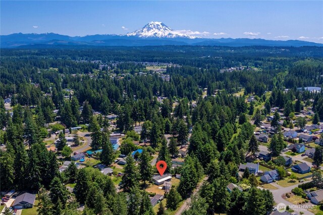 19802 63rd Avenue Ct E, Spanaway, WA 98387 - photo 5
