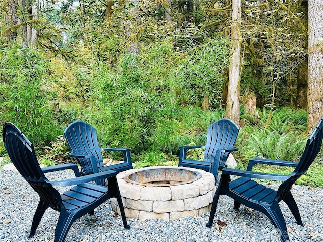 7400 Miller Way, Glacier, WA 98244 - view of patio with a fire pit