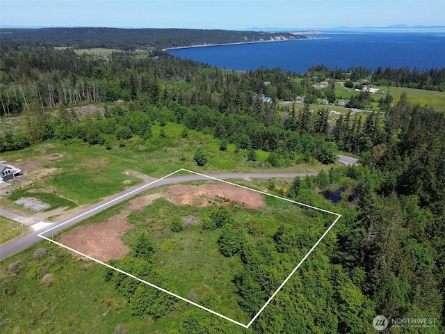 9999 View Ridge Dr, Sequim, WA 98382