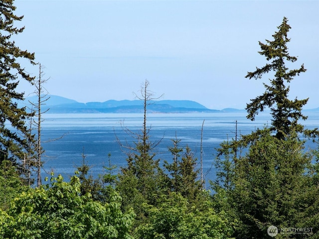 9999 View Ridge Dr, Sequim, WA 98382