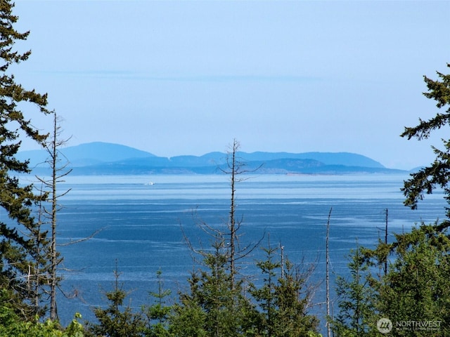 9999 View Ridge Dr, Sequim, WA 98382
