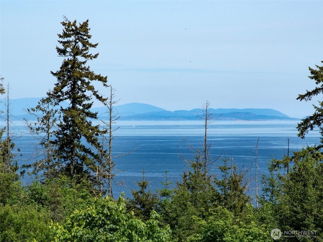 9999 View Ridge Dr, Sequim, WA 98382