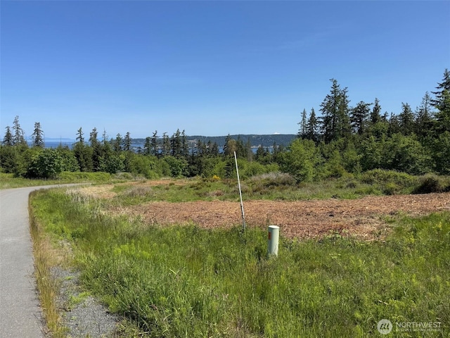 9999 View Ridge Dr, Sequim, WA 98382