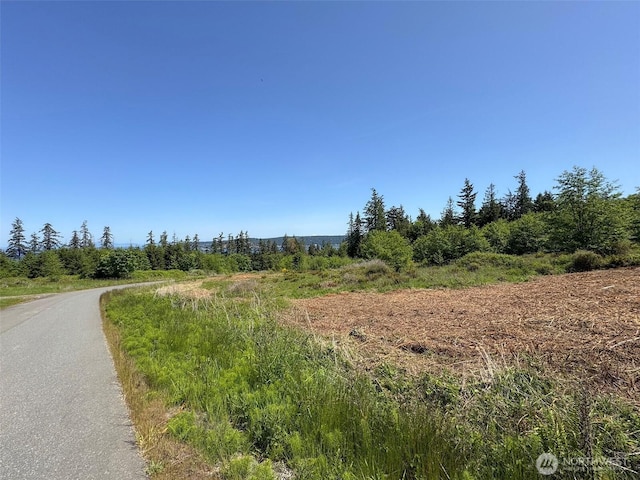 9999 View Ridge Dr, Sequim, WA 98382