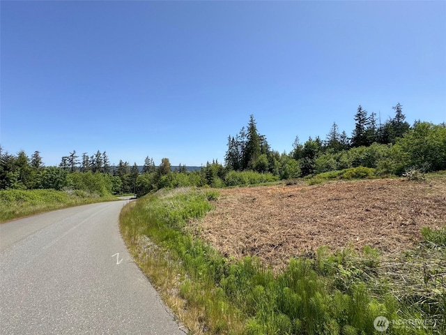 9999 View Ridge Dr, Sequim, WA 98382