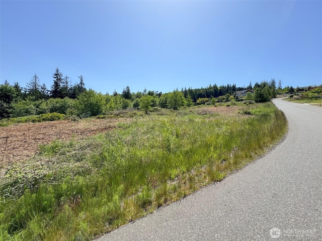 9999 View Ridge Dr, Sequim, WA 98382
