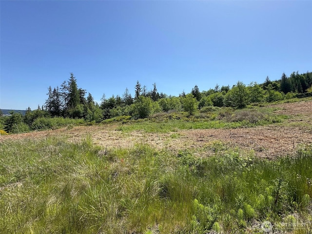 9999 View Ridge Dr, Sequim, WA 98382