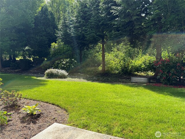 1805 134th Ave NE Unit 8, Bellevue, WA 98005 - view of green lawn