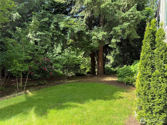 1805 134th Ave NE Unit 8, Bellevue, WA 98005 - view of grassy yard