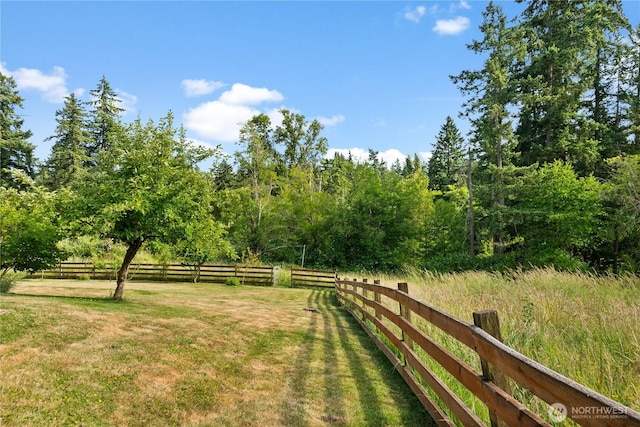 12012 County Line Rd E, Edgewood, WA 98372 - view of yard
