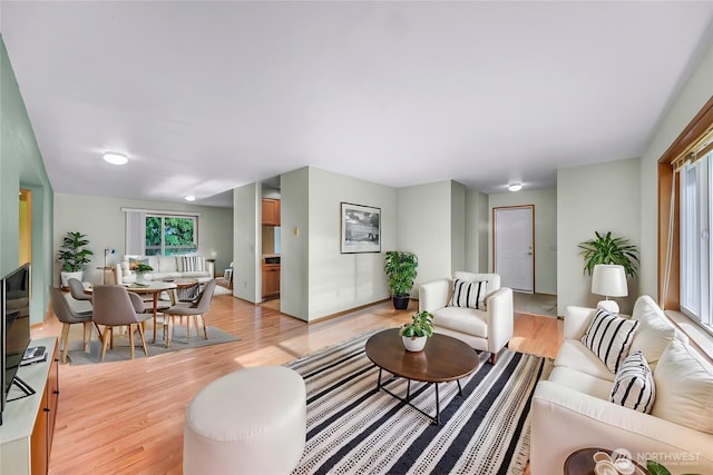 873 Fern Dr, Lynden, WA 98264 - living room with light wood finished floors