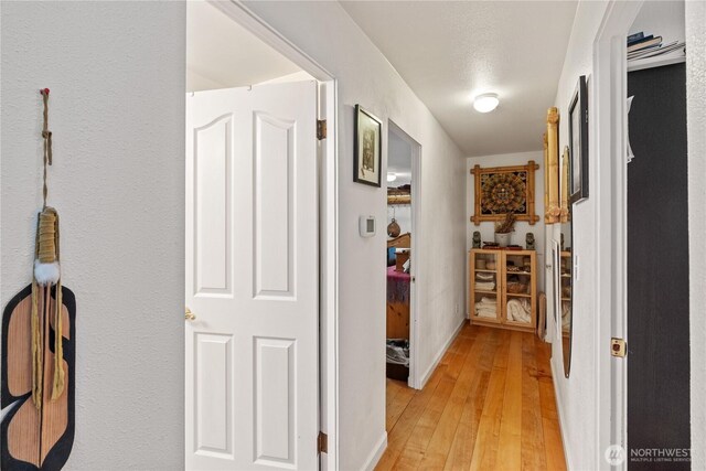 973 US Highway 101, Cosmopolis, WA 98537 - hallway with light wood-style floors