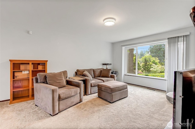 4701 161st St E, Tacoma, WA 98446 - living room featuring carpet flooring