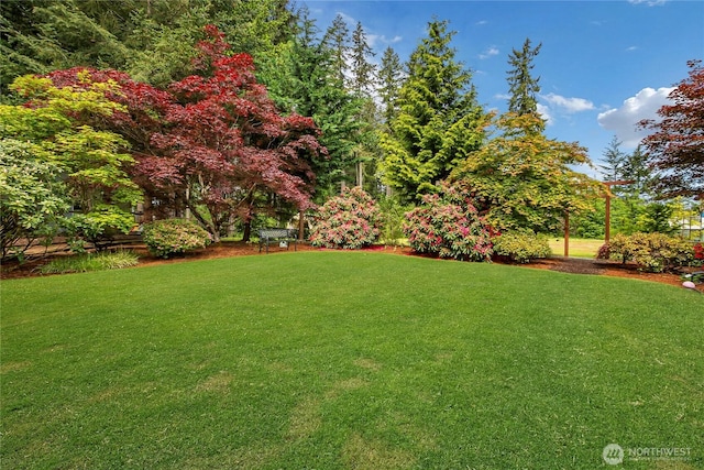 4701 161st St E, Tacoma, WA 98446 - view of green lawn