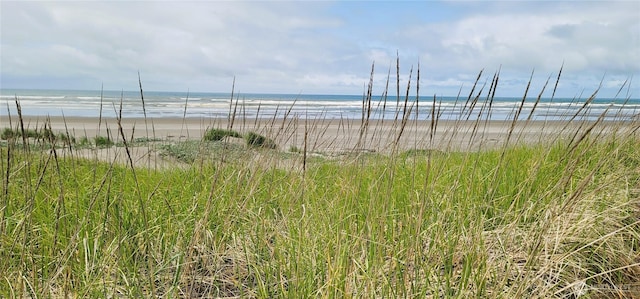 30309 G St, Ocean Park, WA 98640 - photo 35