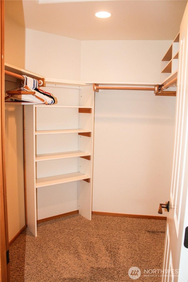 17247 154th Ave SE, Yelm, WA 98597 - spacious closet featuring carpet flooring