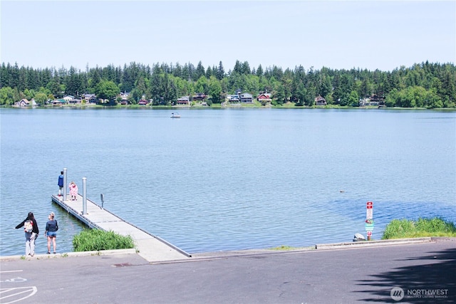 17247 154th Ave SE, Yelm, WA 98597 - water view featuring a forest and a dock
