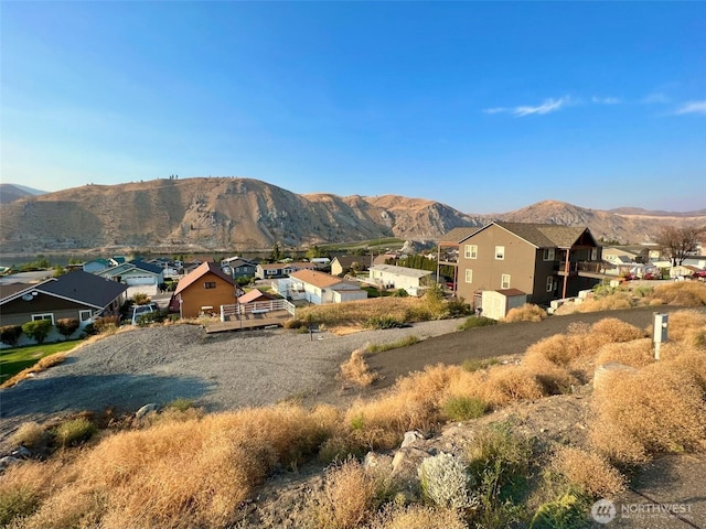 445 Entiat Pl, Orondo, WA 98843