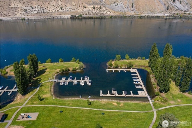 445 Entiat Pl, Orondo, WA 98843