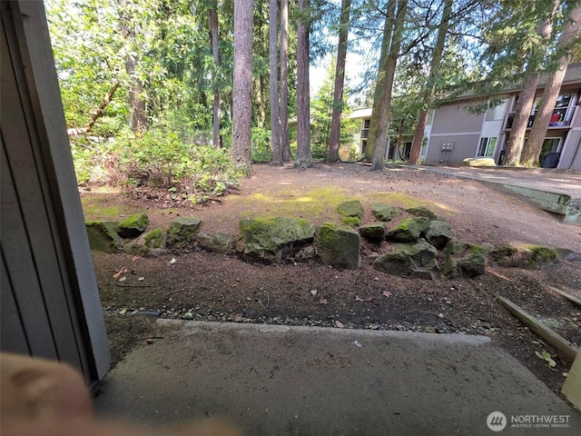 4520 321st St, Federal Way, WA 98023 - photo 7