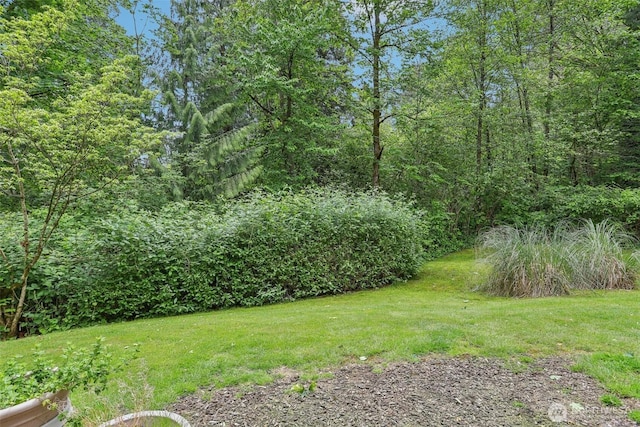 21616 9th Ave SE Unit C-105, Bothell, WA 98021 - view of grassy yard