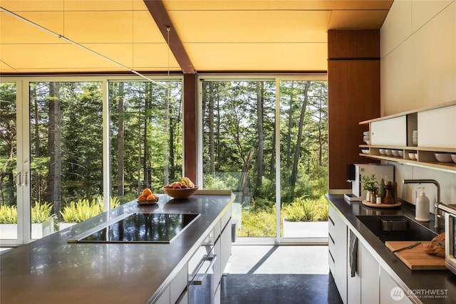271 Blanc Rd, Orcas Island, WA 98245 - kitchen featuring black electric stovetop, plenty of natural light, dark countertops, and concrete floors