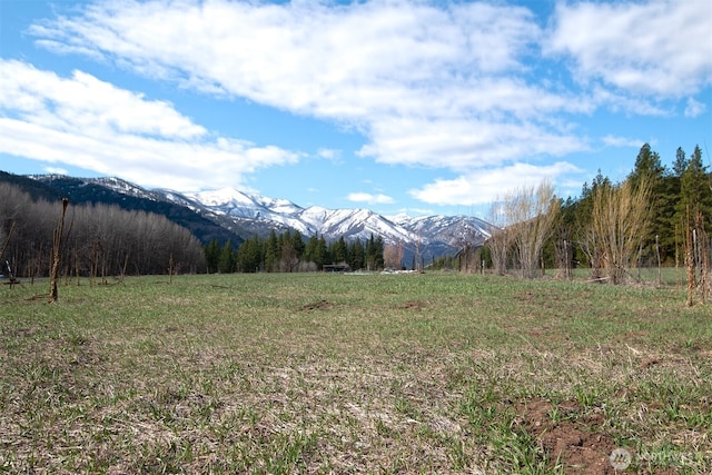 64 Elmer Rd, Twisp, WA 98856