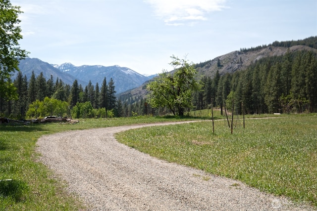 64 Elmer Rd, Twisp, WA 98856