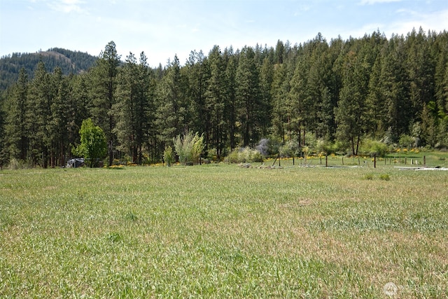 64 Elmer Rd, Twisp, WA 98856