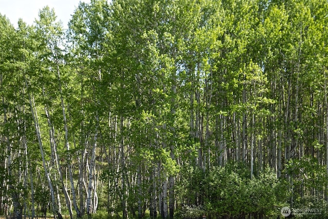 64 Elmer Rd, Twisp, WA 98856