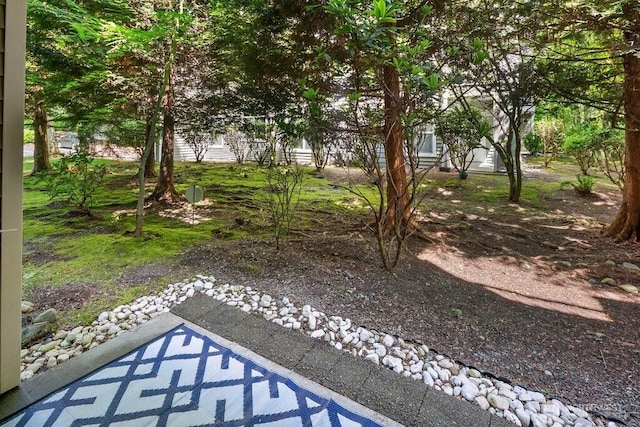 12712 Admiralty Way Unit G102, Everett, WA 98204 - view of yard