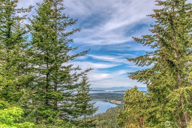 121 Switchback Rd, Orcas Island, WA 98245 - water view with a forest
