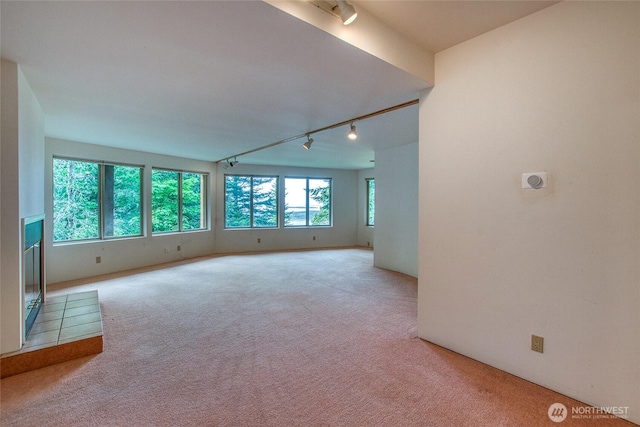 121 Switchback Rd, Orcas Island, WA 98245 - unfurnished room with track lighting and carpet floors