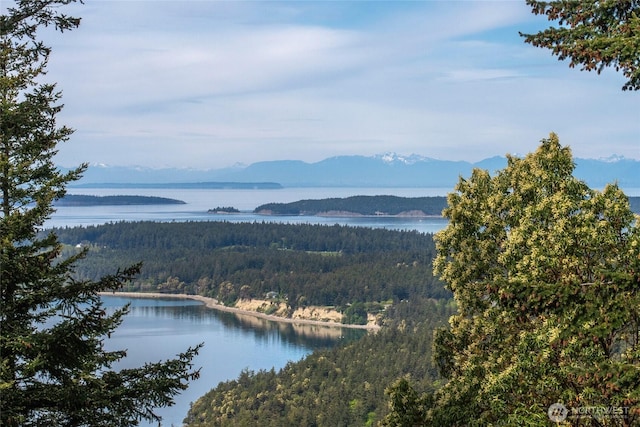 121 Switchback Rd, Orcas Island, WA 98245 - water view featuring a heavily wooded area and a mountain backdrop