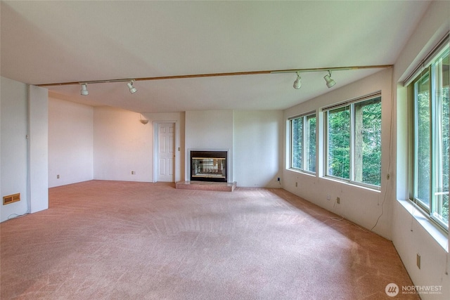121 Switchback Rd, Orcas Island, WA 98245 - unfurnished living room with rail lighting, plenty of natural light, and carpet flooring