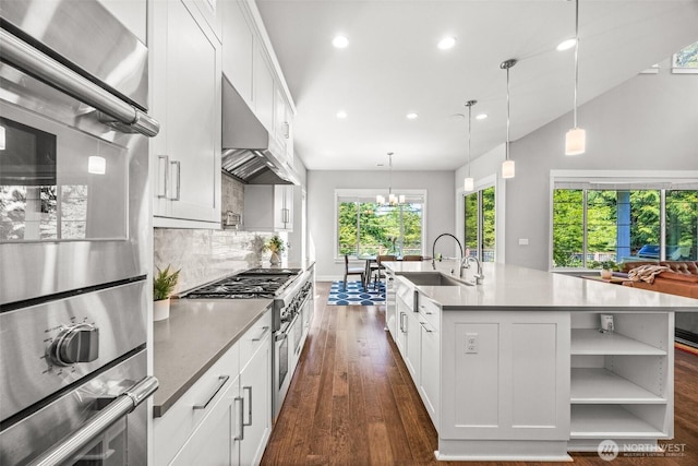 21888 SE 5th Pl, Sammamish, WA 98074 - kitchen with stainless steel appliances, under cabinet range hood, recessed lighting, dark wood-style flooring, and white cabinets