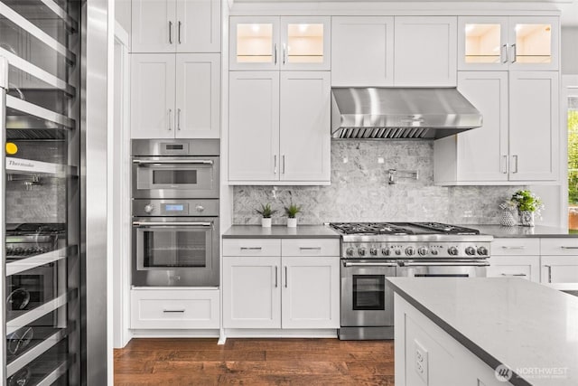21888 SE 5th Pl, Sammamish, WA 98074 - kitchen with under cabinet range hood, appliances with stainless steel finishes, tasteful backsplash, dark wood finished floors, and glass insert cabinets