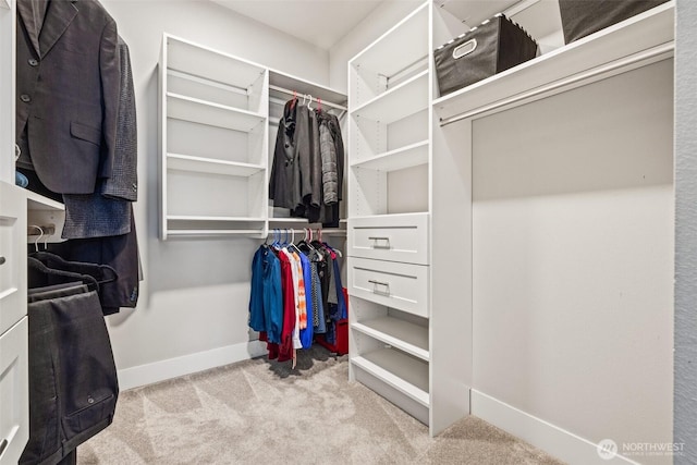21888 SE 5th Pl, Sammamish, WA 98074 - spacious closet featuring carpet floors