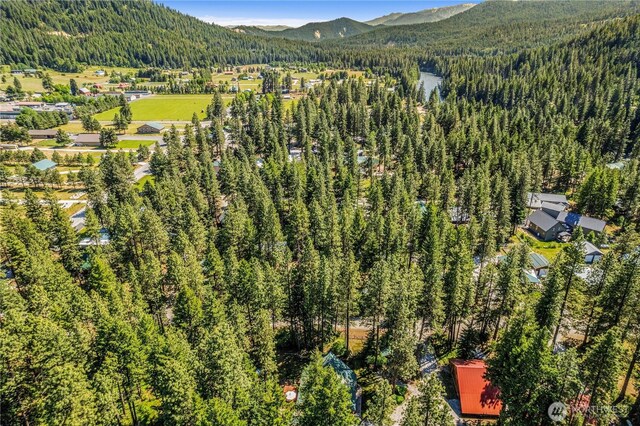 18880 Pine Loop, Leavenworth, WA 98826 - drone / aerial view of a heavily wooded area and mountains