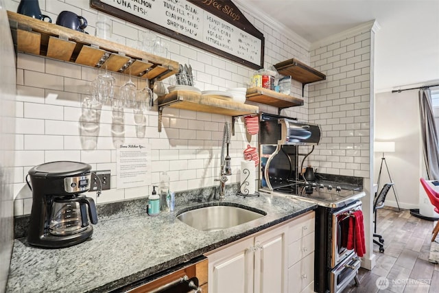2415 2nd Ave Unit 543, Seattle, WA 98121 - kitchen featuring open shelves, stainless steel electric stove, a sink, tasteful backsplash, and crown molding