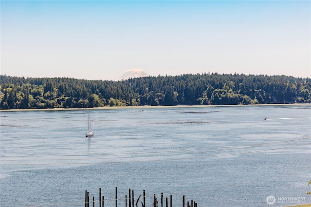 14210 Olalla Crest Ln SE, Olalla, WA 98359 - photo 35